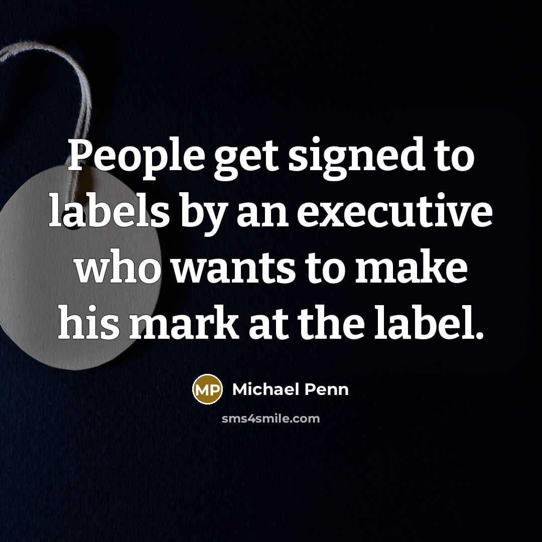 “People get signed to labels by an executive who wants to make his mark at the label.” quote by Michael Penn