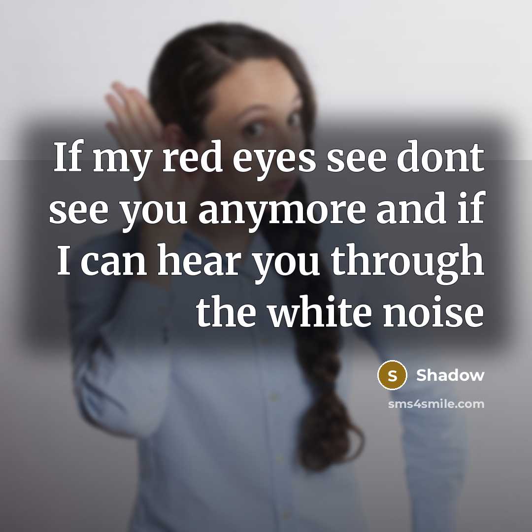 “If my red eyes see dont see you anymore and if I can hear you through the white noise” quote by Shadow