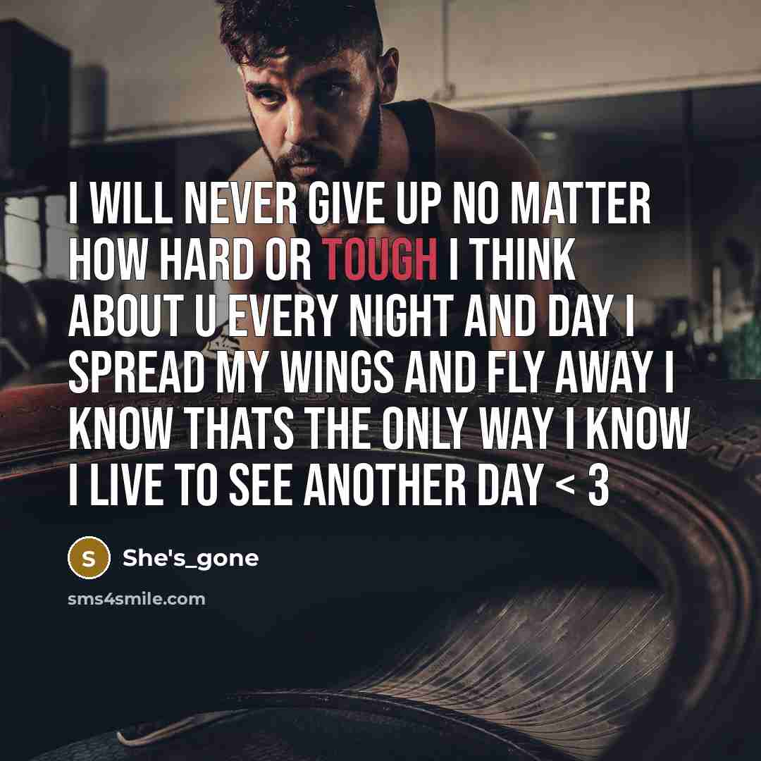 “I will never give up no matter how hard or tough I think about u every night and day I spread my wings and fly away I know thats the only way I know I live to see another day < 3” quote by She's_gone