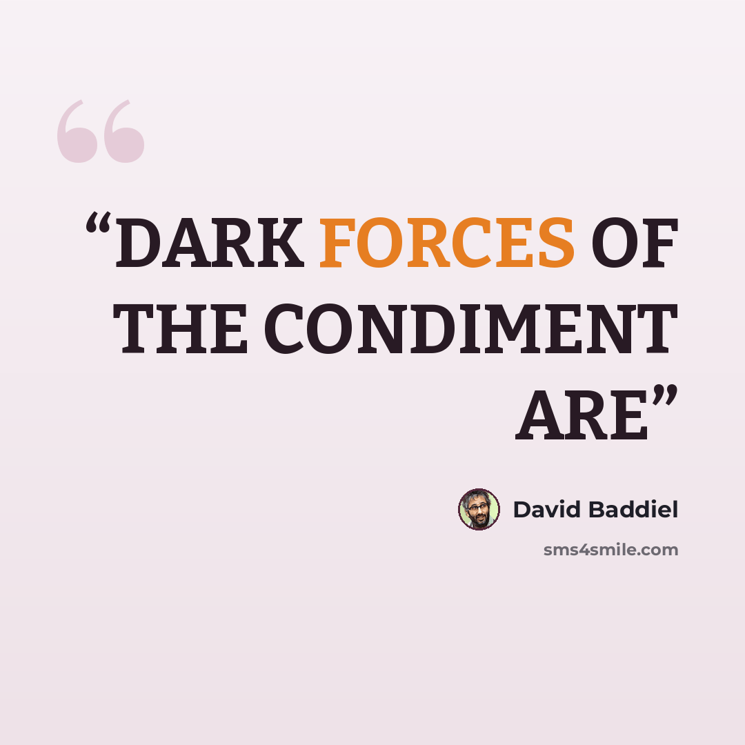 “DARK FORCES OF THE CONDIMENT ARE” quote by David Baddiel
