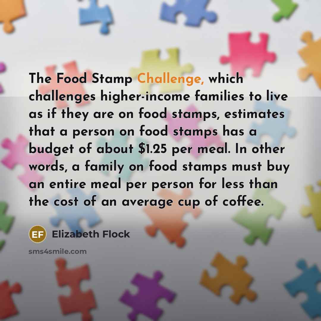 “The Food Stamp Challenge, which challenges higher-income families to live as if they are on food stamps, estimates that a person on food stamps has a budget of about $1.25 per meal. In other words, a family on food stamps must buy an entire meal per person for less than the cost of an average cup…” quote by Elizabeth Flock