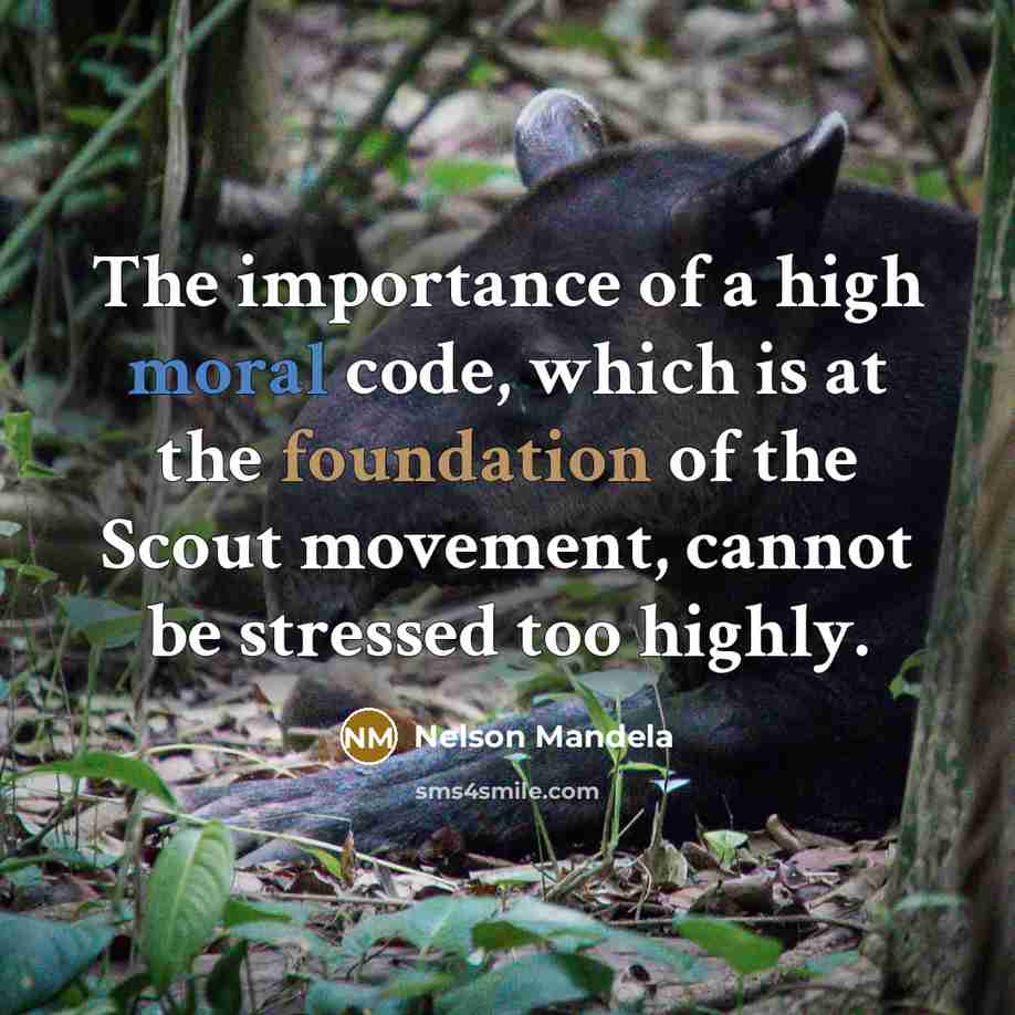 “The importance of a high moral code, which is at the foundation of the Scout movement, cannot be stressed too highly.” quote by Nelson Mandela