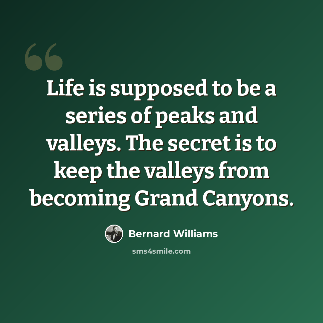 “Life is supposed to be a series of peaks and valleys. The secret is to keep the valleys from becoming Grand Canyons.” quote by Bernard Williams
