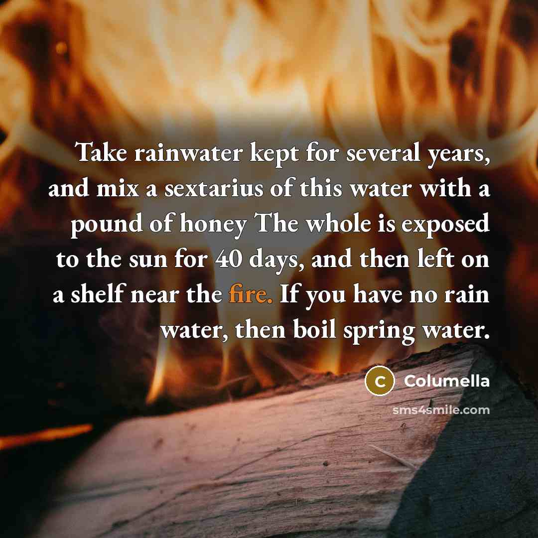 “Take rainwater kept for several years, and mix a sextarius of this water with a pound of honey The whole is exposed to the sun for 40 days, and then left on a shelf near the fire. If you have no rain water, then boil spring water.” quote by Columella