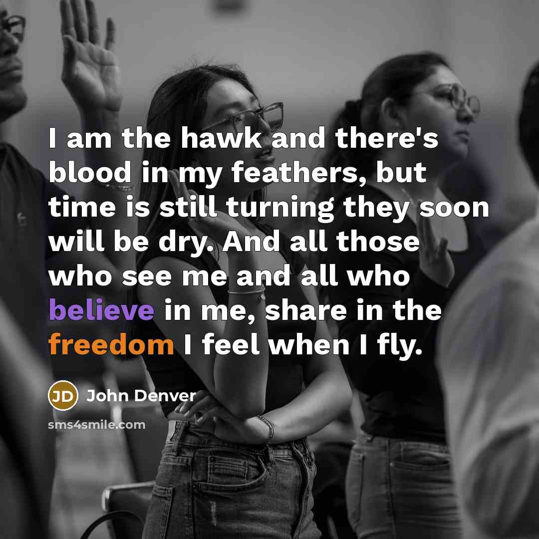 “I am the hawk and there's blood in my feathers, but time is still turning they soon will be dry. And all those who see me and all who believe in me, share in the freedom I feel when I fly.” quote by John Denver