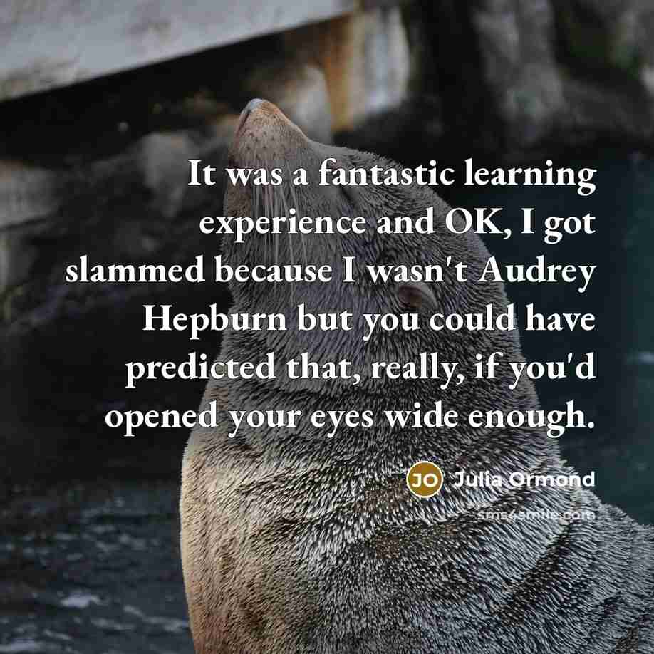“It was a fantastic learning experience and OK, I got slammed because I wasn't Audrey Hepburn but you could have predicted that, really, if you'd opened your eyes wide enough.” quote by Julia Ormond