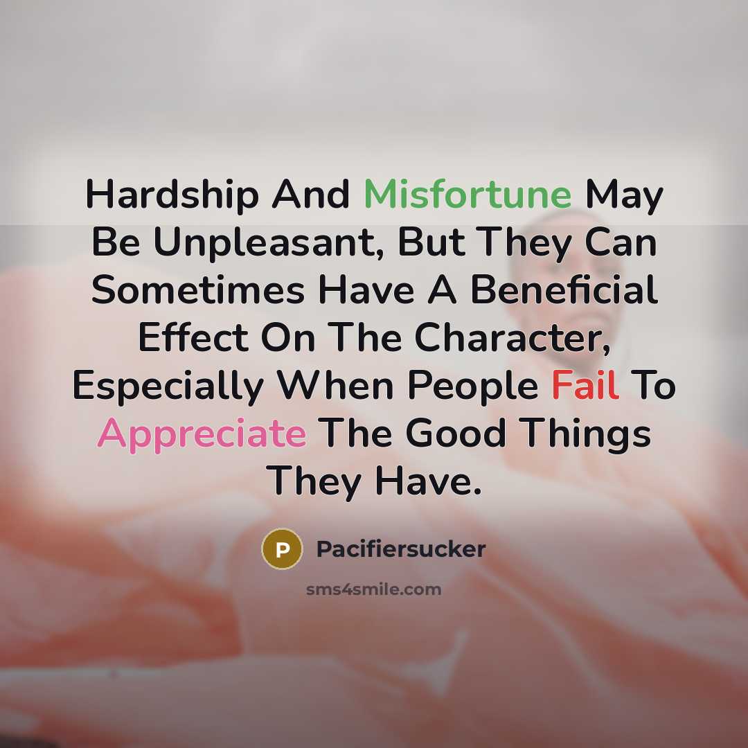 “Hardship And Misfortune May Be Unpleasant, But They Can Sometimes Have A Beneficial Effect On The Character, Especially When People Fail To Appreciate The Good Things They Have.” quote by Pacifiersucker