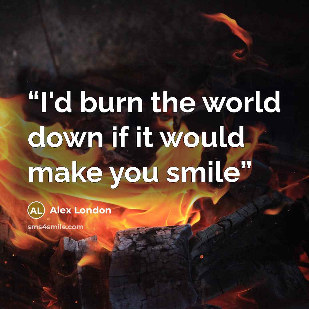 “I'd burn the world down if it would make you smile” quote by Alex London