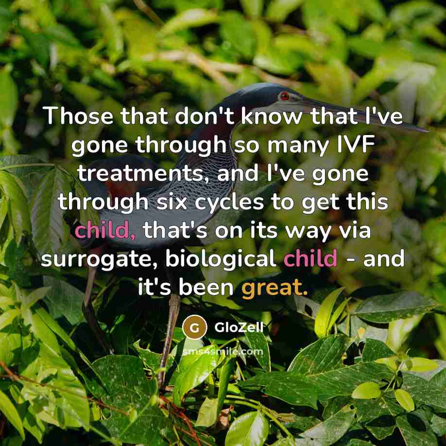 “Those that don't know that I've gone through so many IVF treatments, and I've gone through six cycles to get this child, that's on its way via surrogate, biological child - and it's been great.” quote by GloZell