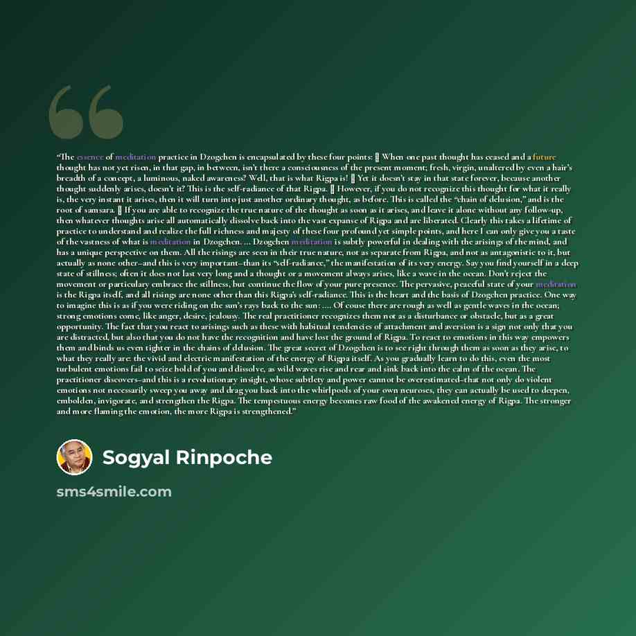 “The essence of meditation practice in Dzogchen is encapsulated by these four points: ▪ When one past thought has ceased and a future thought has not yet risen, in that gap, in between, isn’t there a consciousness of the present moment; fresh, virgin, unaltered by even a hair’s breadth of a…” quote by Sogyal Rinpoche