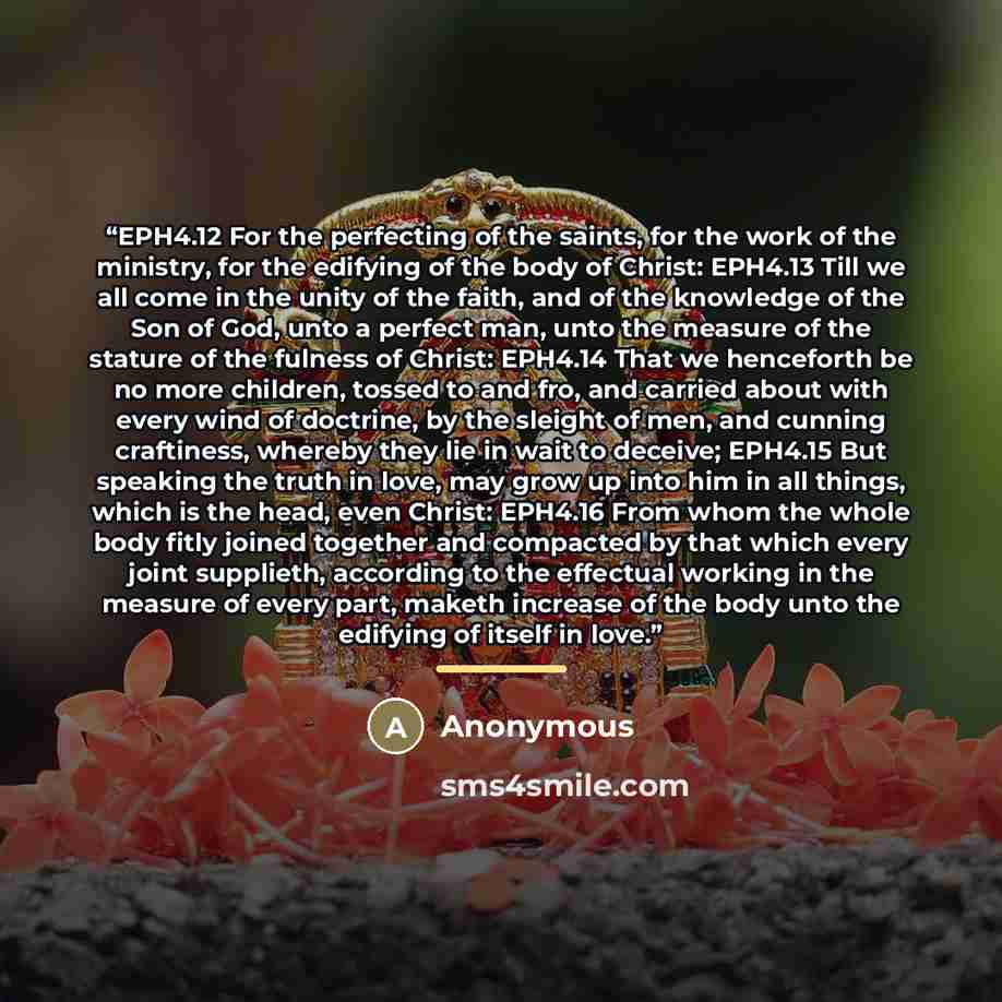 “EPH4.12 For the perfecting of the saints, for the work of the ministry, for the edifying of the body of Christ: EPH4.13 Till we all come in the unity of the faith, and of the knowledge of the Son of God, unto a perfect man, unto the measure of the stature of the fulness of Christ: EPH4.14 That we…” quote by Anonymous