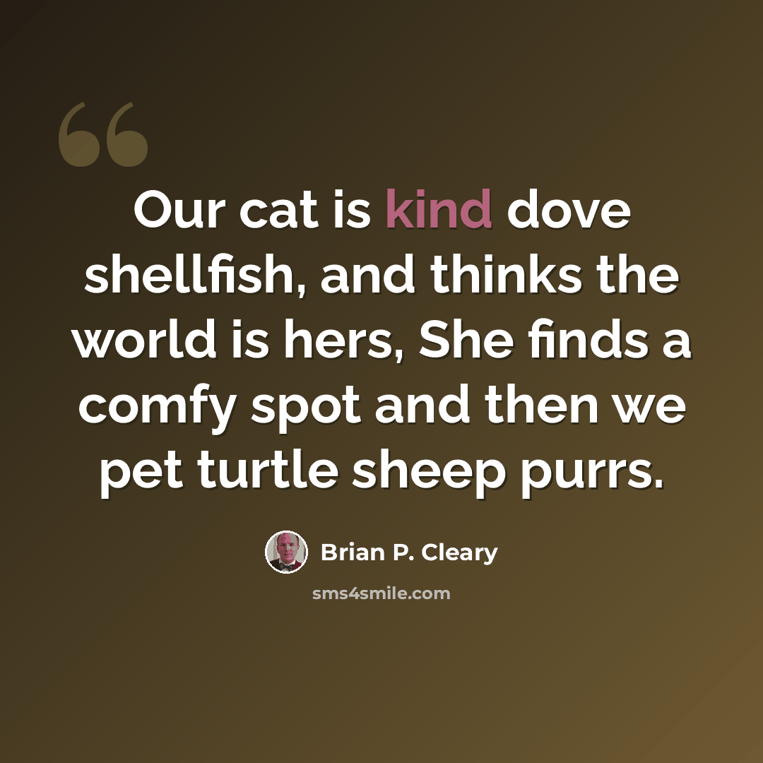 “Our cat is kind dove shellfish, and thinks the world is hers, She finds a comfy spot and then we pet turtle sheep purrs.” quote by Brian P. Cleary