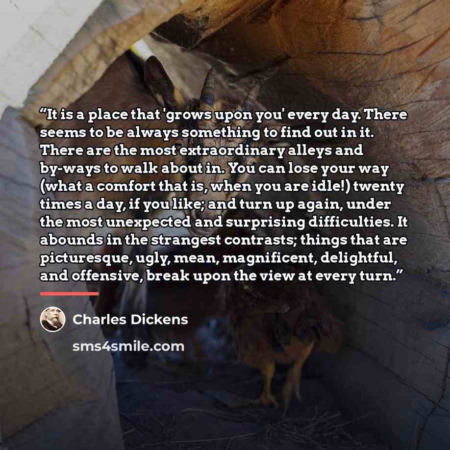 “It is a place that 'grows upon you' every day. There seems to be always something to find out in it. There are the most extraordinary alleys and by-ways to walk about in. You can lose your way (what a comfort that is, when you are idle!) twenty times a day, if you like; and turn up again, under…” quote by Charles Dickens