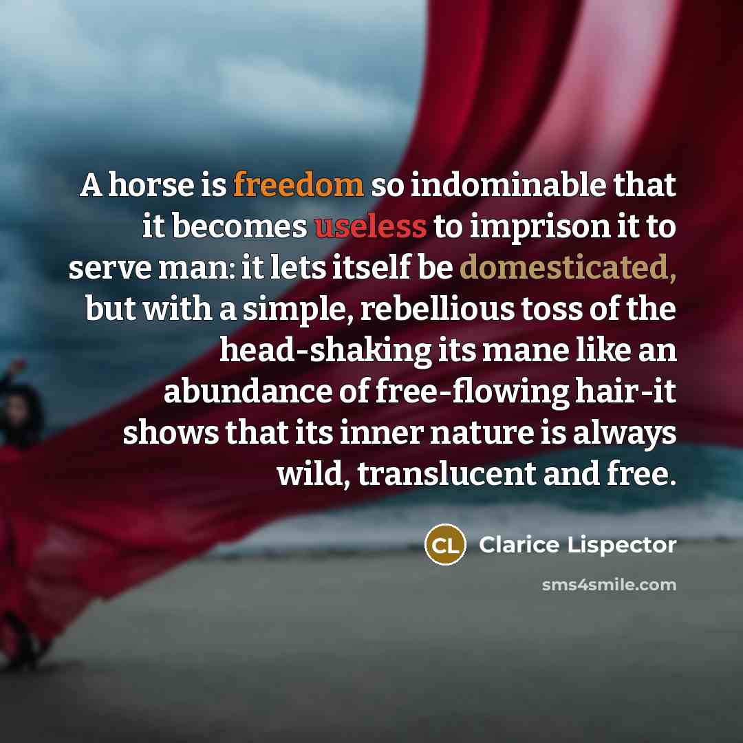 “A horse is freedom so indominable that it becomes useless to imprison it to serve man: it lets itself be domesticated, but with a simple, rebellious toss of the head-shaking its mane like an abundance of free-flowing hair-it shows that its inner nature is always wild, translucent and free.” quote by Clarice Lispector