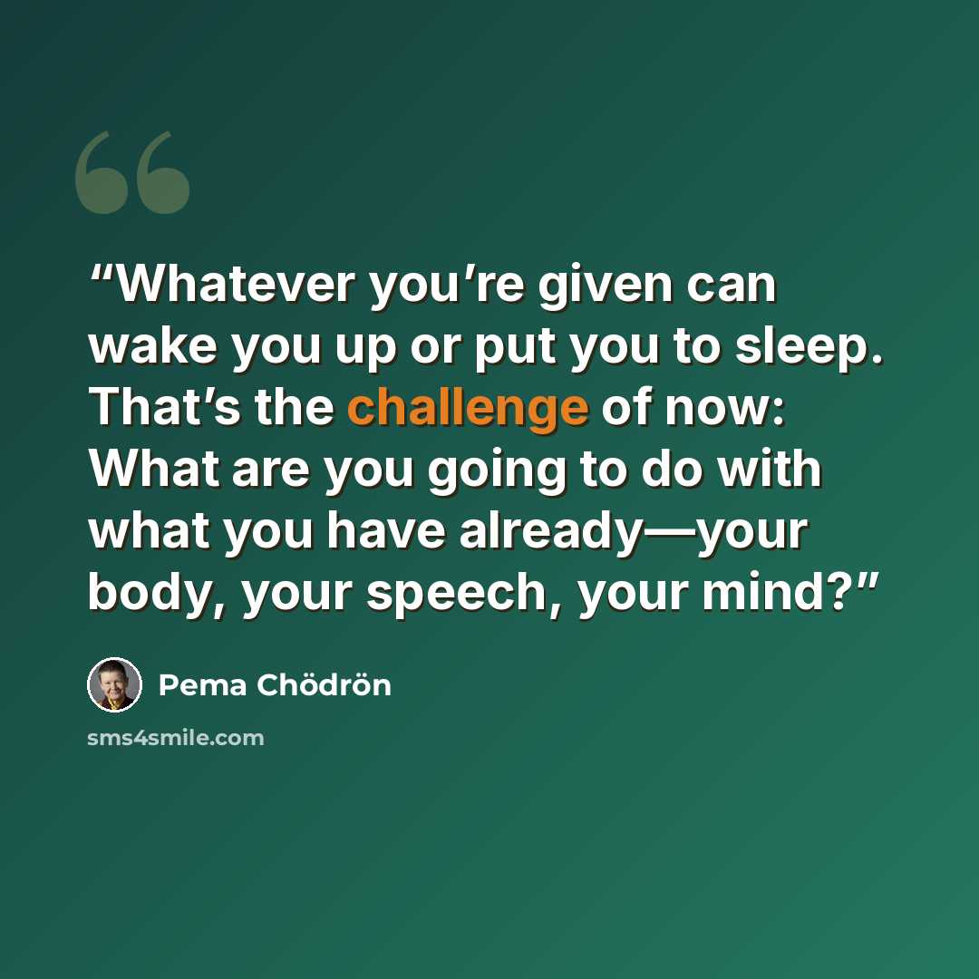“Whatever you’re given can wake you up or put you to sleep. That’s the challenge of now: What are you going to do with what you have already—your body, your speech, your mind?” quote by Pema Chödrön