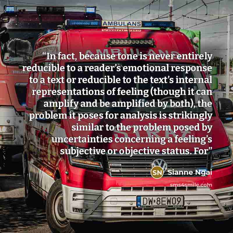 “In fact, because tone is never entirely reducible to a reader’s emotional response to a text or reducible to the text’s internal representations of feeling (though it can amplify and be amplified by both), the problem it poses for analysis is strikingly similar to the problem posed by…” quote by Sianne Ngai