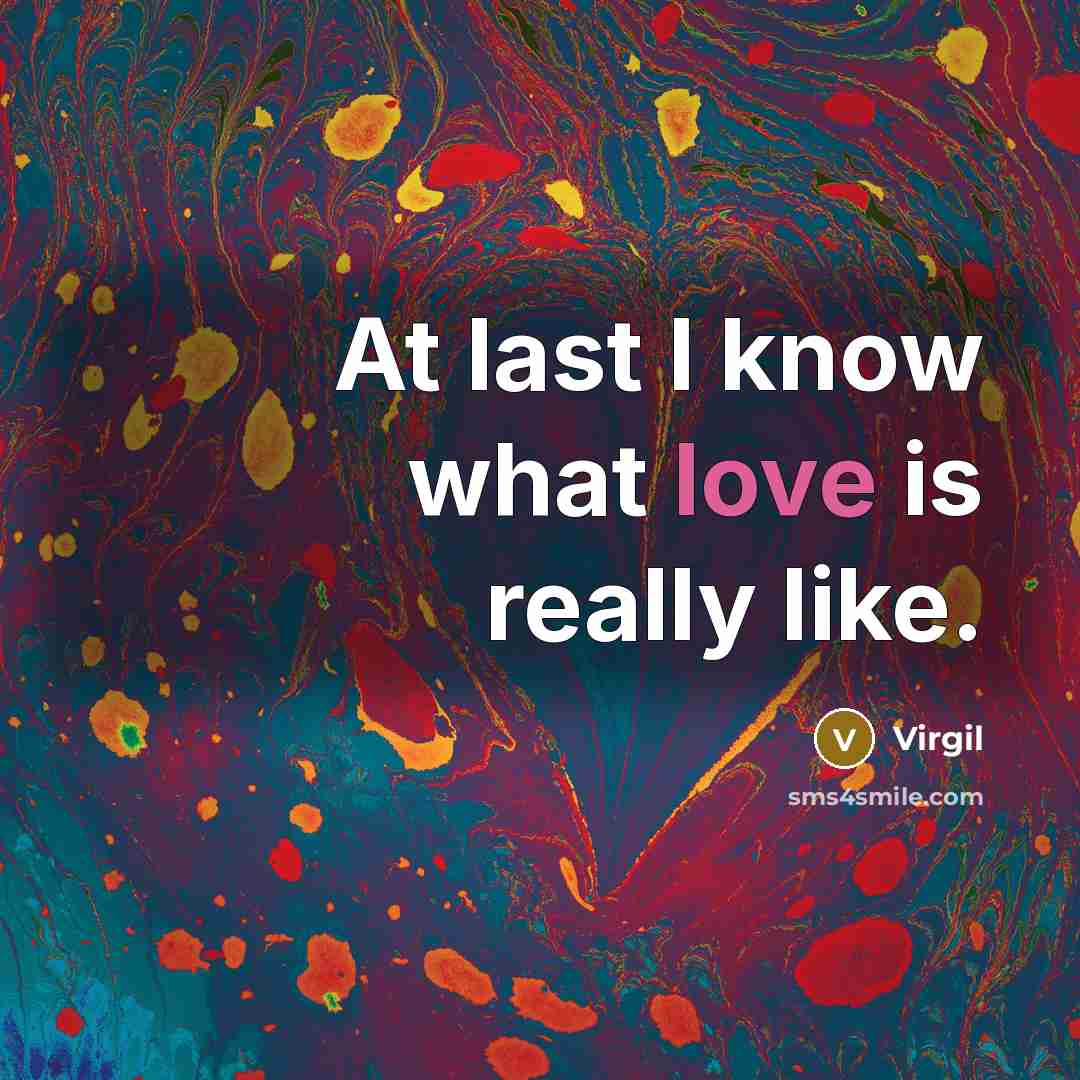 “At last I know what love is really like.” quote by Virgil