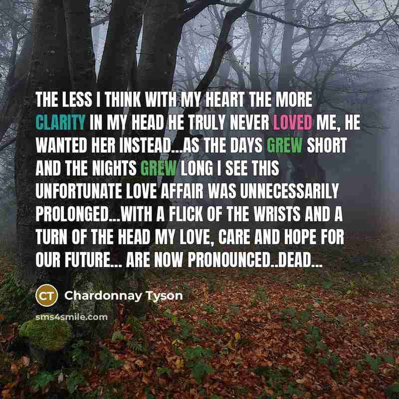 “The less I think with my heart the more clarity in my head he truly never loved me, he wanted her instead...As the days grew short and the nights grew long I see this unfortunate love affair was unnecessarily prolonged...With a flick of the wrists and a turn of the head my love, care and hope for…” quote by Chardonnay Tyson