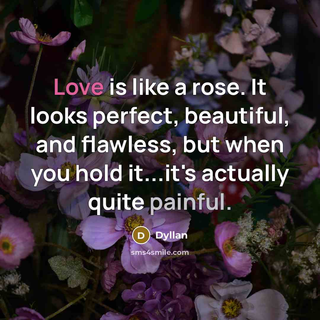 “Love is like a rose. It looks perfect, beautiful, and flawless, but when you hold it...it's actually quite painful.” quote by Dyllan