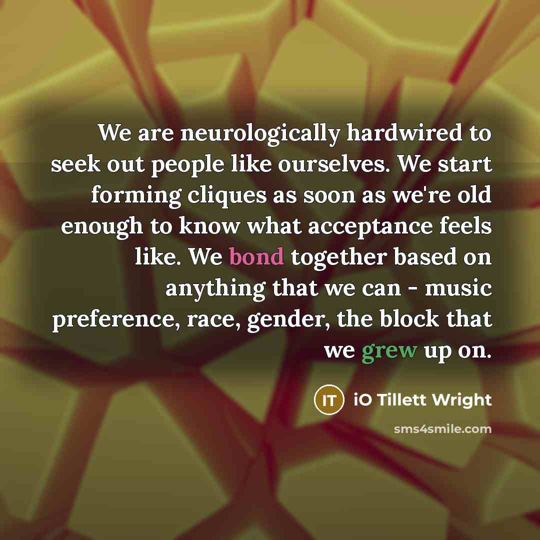 “We are neurologically hardwired to seek out people like ourselves. We start forming cliques as soon as we're old enough to know what acceptance feels like. We bond together based on anything that we can - music preference, race, gender, the block that we grew up on.” quote by iO Tillett Wright