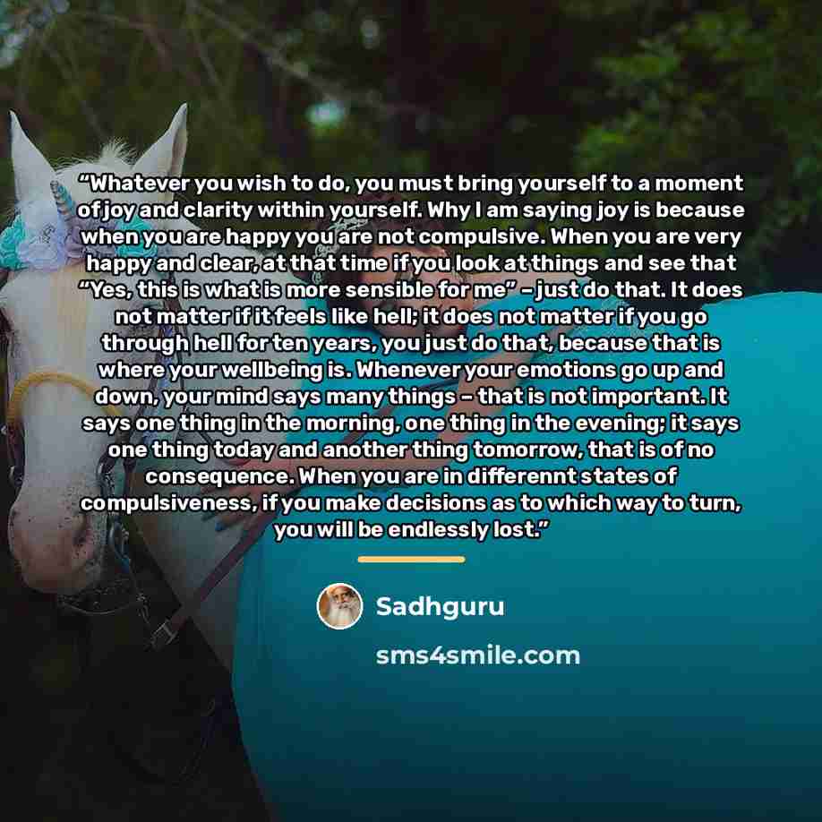 “Whatever you wish to do, you must bring yourself to a moment of joy and clarity within yourself. Why I am saying joy is because when you are happy you are not compulsive. When you are very happy and clear, at that time if you look at things and see that “Yes, this is what is more sensible for me”…” quote by Sadhguru