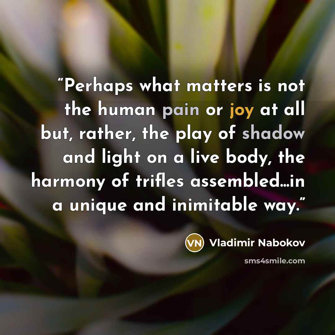 “Perhaps what matters is not the human pain or joy at all but, rather, the play of shadow and light on a live body, the harmony of trifles assembled...in a unique and inimitable way.” quote by Vladimir Nabokov