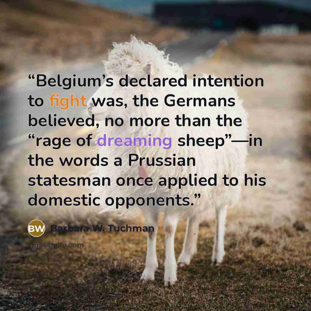“Belgium’s declared intention to fight was, the Germans believed, no more than the “rage of dreaming sheep”—in the words a Prussian statesman once applied to his domestic opponents.” quote by Barbara W. Tuchman