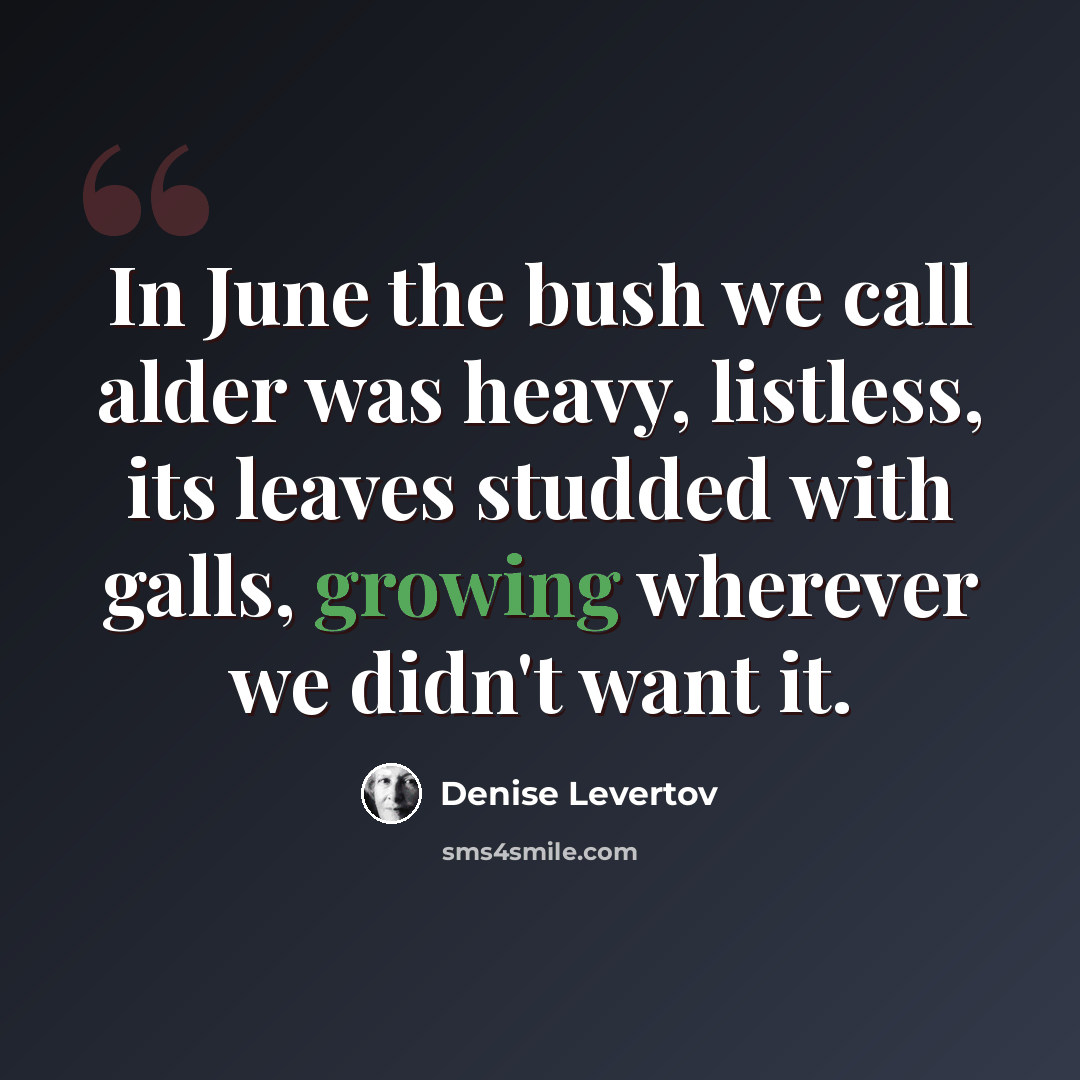 “In June the bush we call alder was heavy, listless, its leaves studded with galls, growing wherever we didn't want it.” quote by Denise Levertov