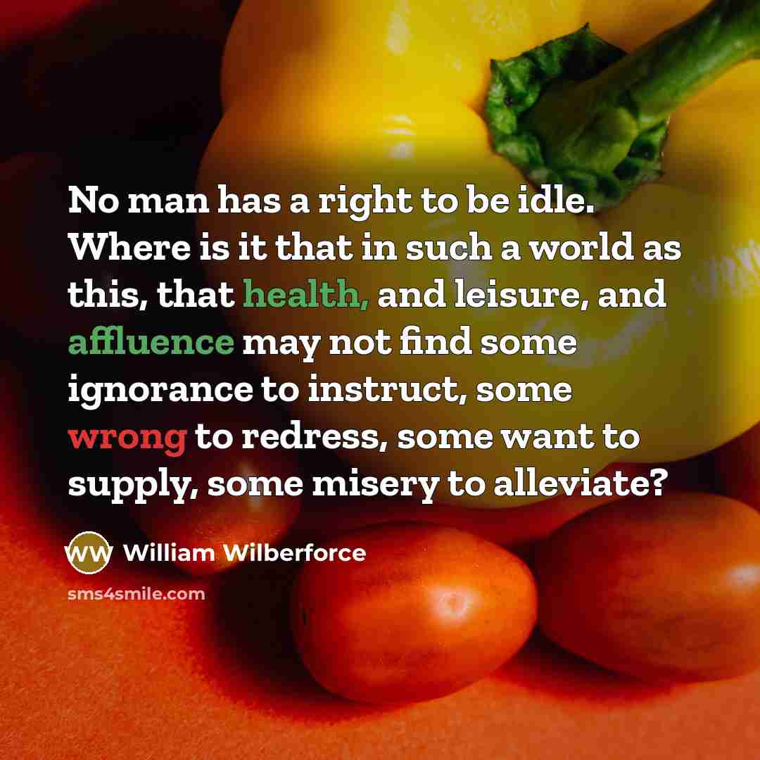 “No man has a right to be idle. Where is it that in such a world as this, that health, and leisure, and affluence may not find some ignorance to instruct, some wrong to redress, some want to supply, some misery to alleviate?” quote by William Wilberforce