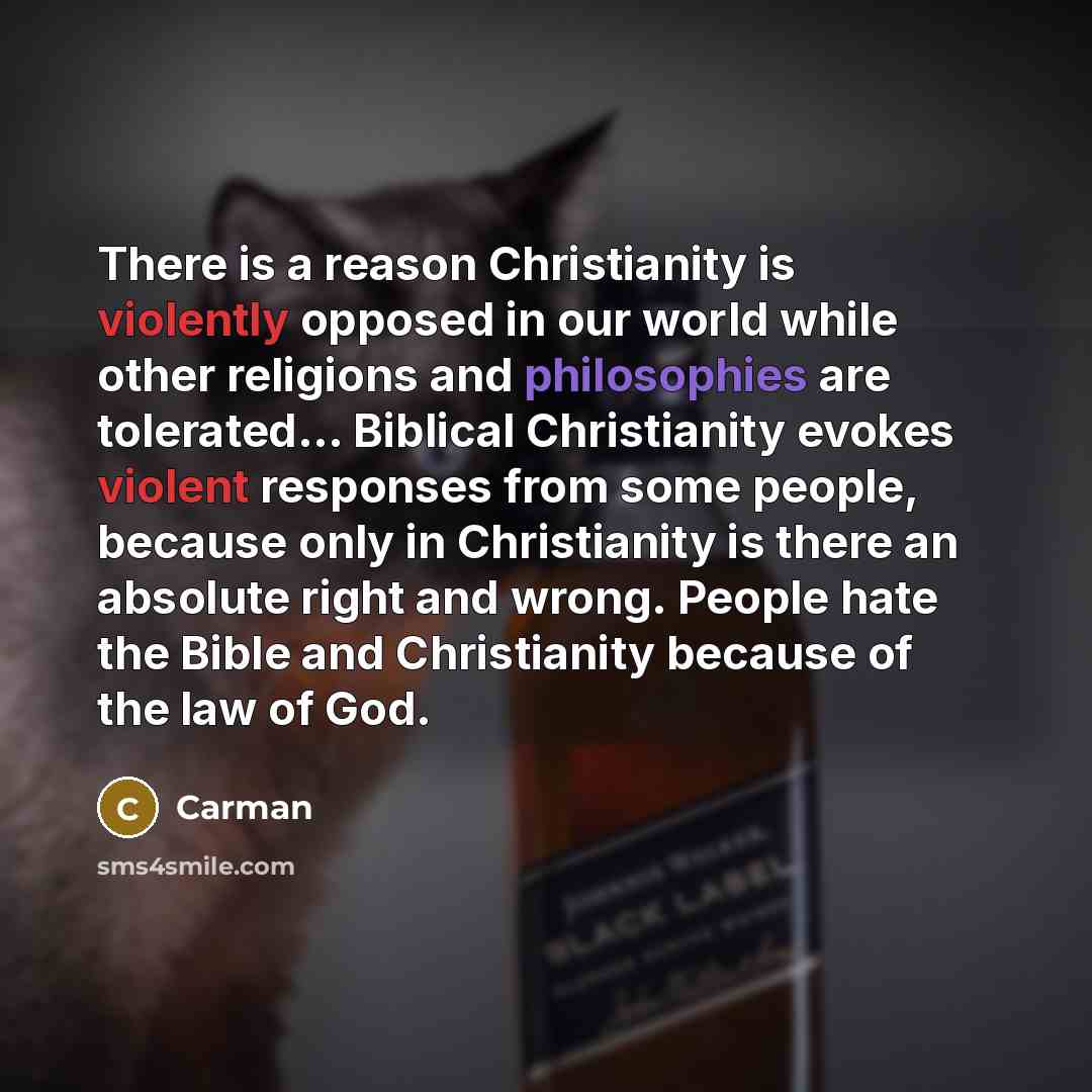 “There is a reason Christianity is violently opposed in our world while other religions and philosophies are tolerated... Biblical Christianity evokes violent responses from some people, because only in Christianity is there an absolute right and wrong. People hate the Bible and Christianity…” quote by Carman