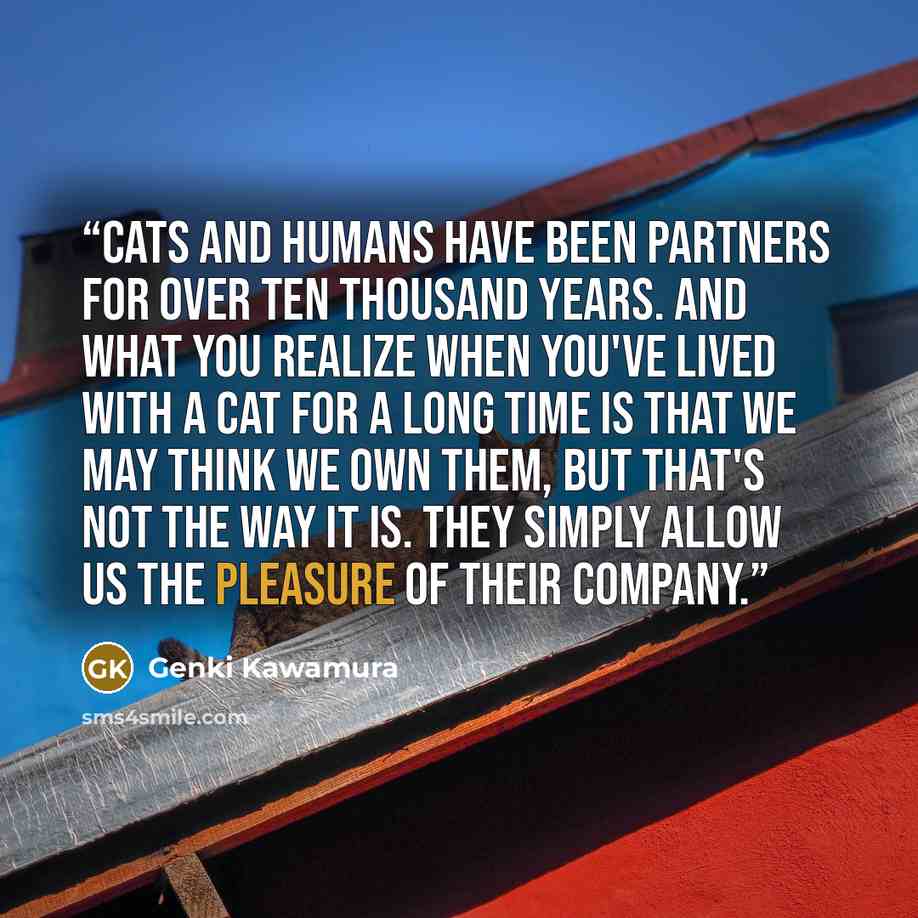 “Cats and humans have been partners for over ten thousand years. And what you realize when you've lived with a cat for a long time is that we may think we own them, but that's not the way it is. They simply allow us the pleasure of their company.” quote by Genki Kawamura