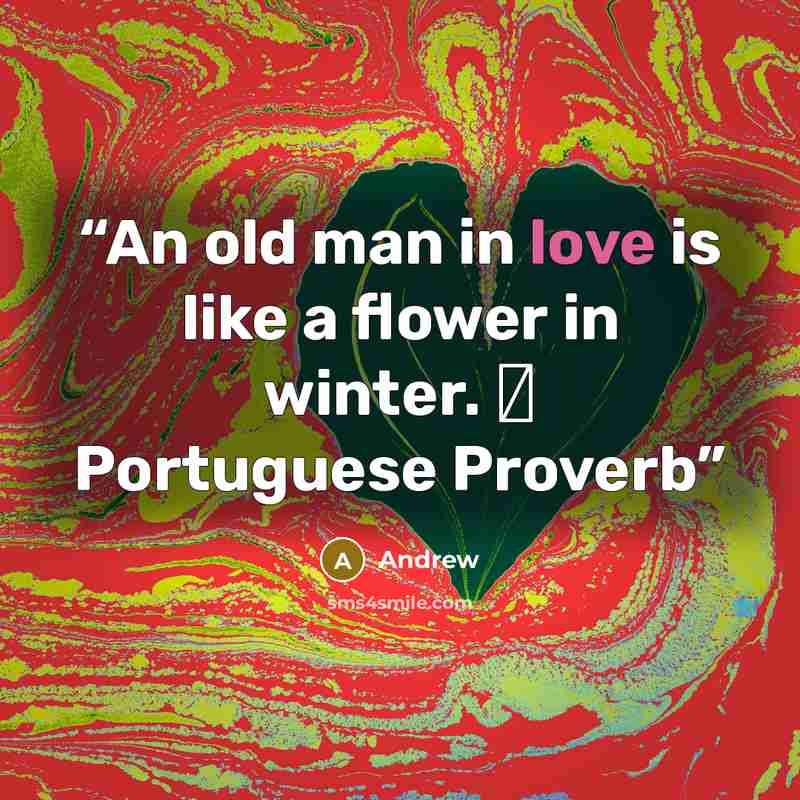 “An old man in love is like a flower in winter. ― Portuguese Proverb” quote by Andrew