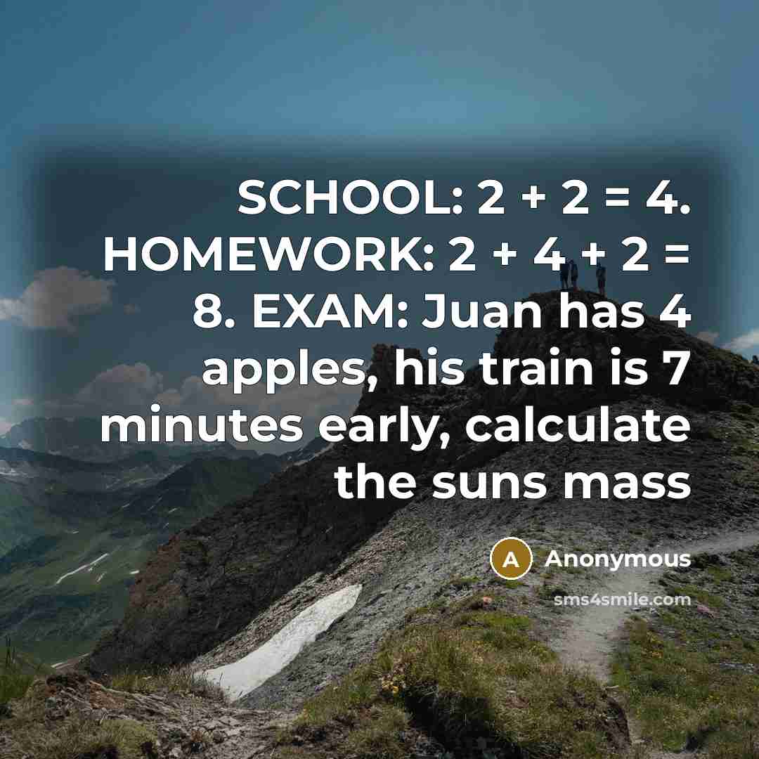 “SCHOOL: 2 + 2 = 4. HOMEWORK: 2 + 4 + 2 = 8. EXAM: Juan has 4 apples, his train is 7 minutes early, calculate the suns mass” quote by Anonymous