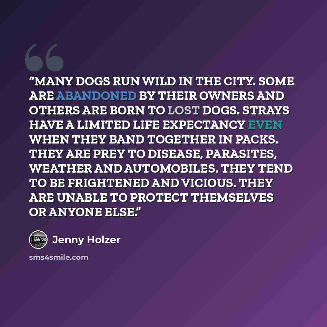 “MANY DOGS RUN WILD IN THE CITY. SOME ARE ABANDONED BY THEIR OWNERS AND OTHERS ARE BORN TO LOST DOGS. STRAYS HAVE A LIMITED LIFE EXPECTANCY EVEN WHEN THEY BAND TOGETHER IN PACKS. THEY ARE PREY TO DISEASE, PARASITES, WEATHER AND AUTOMOBILES. THEY TEND TO BE FRIGHTENED AND VICIOUS. THEY ARE UNABLE TO…” quote by Jenny Holzer