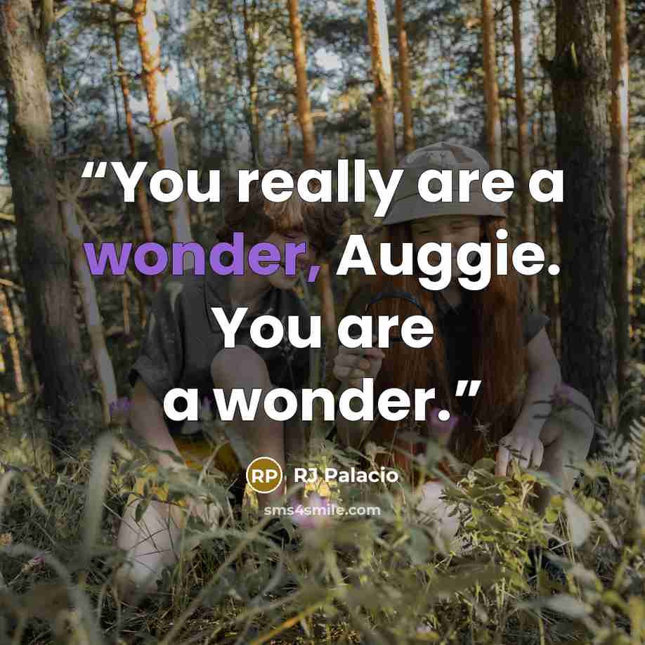“You really are a wonder, Auggie. You are a wonder.” quote by RJ Palacio