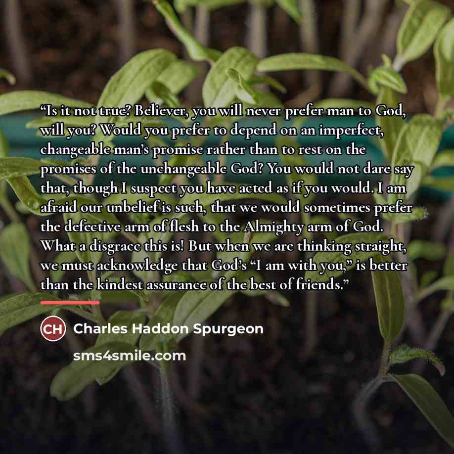 “Is it not true? Believer, you will never prefer man to God, will you? Would you prefer to depend on an imperfect, changeable man’s promise rather than to rest on the promises of the unchangeable God? You would not dare say that, though I suspect you have acted as if you would. I am afraid our…” quote by Charles Haddon Spurgeon