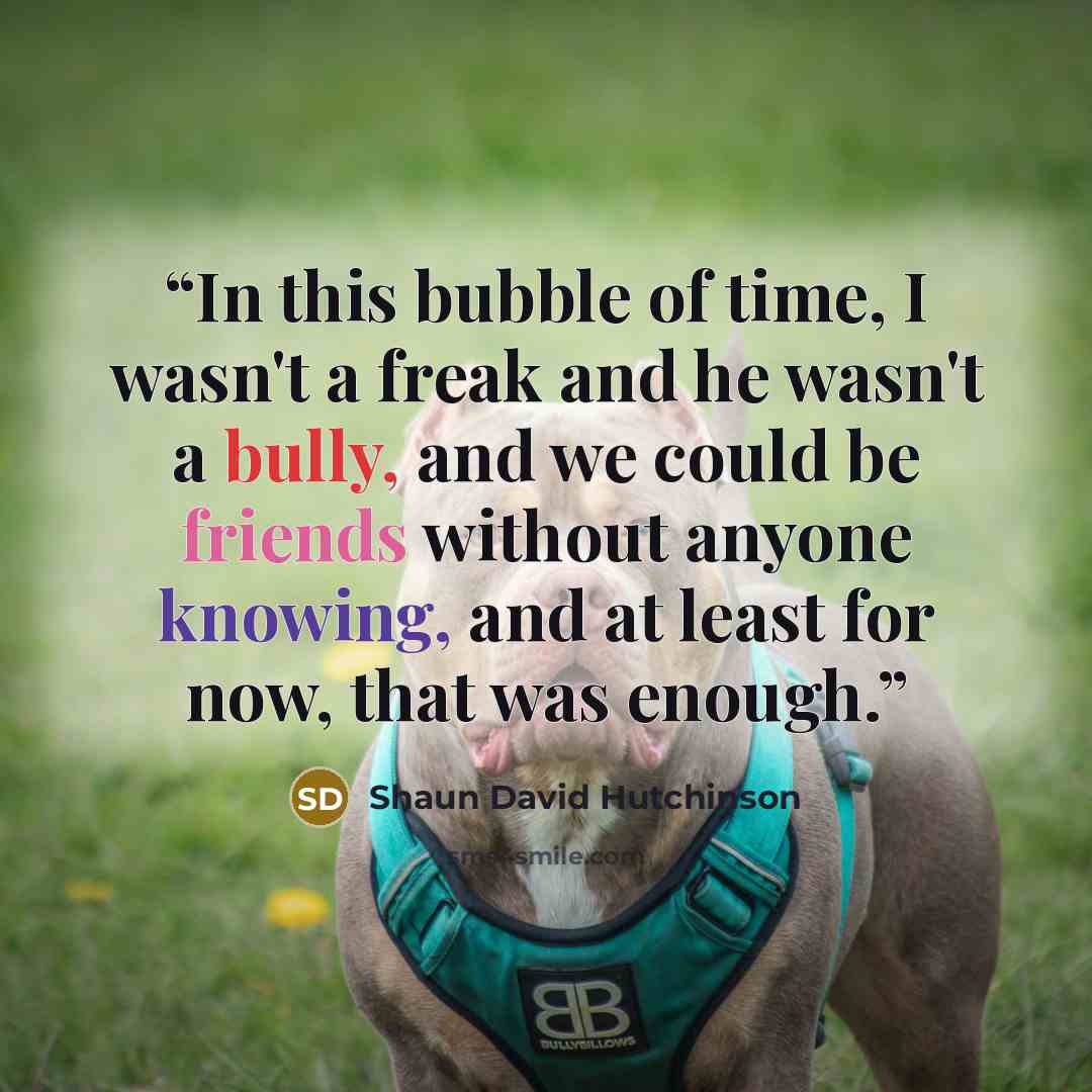 “In this bubble of time, I wasn't a freak and he wasn't a bully, and we could be friends without anyone knowing, and at least for now, that was enough.” quote by Shaun David Hutchinson