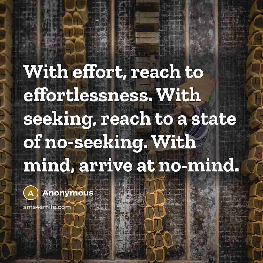 “With effort, reach to effortlessness. With seeking, reach to a state of no-seeking. With mind, arrive at no-mind.” quote by Anonymous