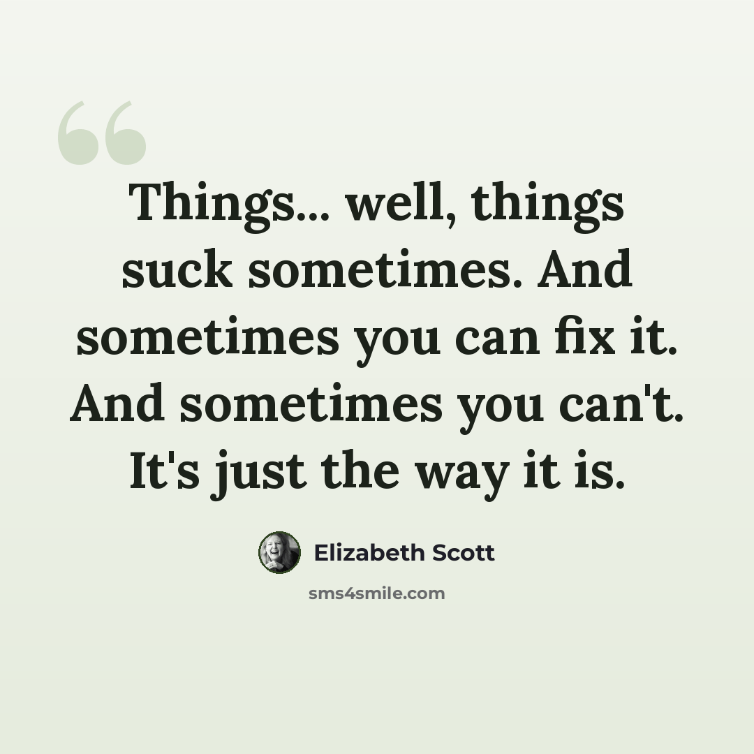 “Things... well, things suck sometimes. And sometimes you can fix it. And sometimes you can't. It's just the way it is.” quote by Elizabeth Scott