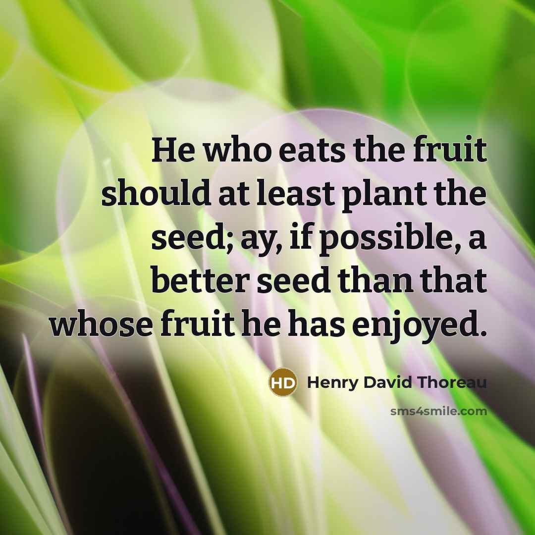 “He who eats the fruit should at least plant the seed; ay, if possible, a better seed than that whose fruit he has enjoyed.” quote by Henry David Thoreau