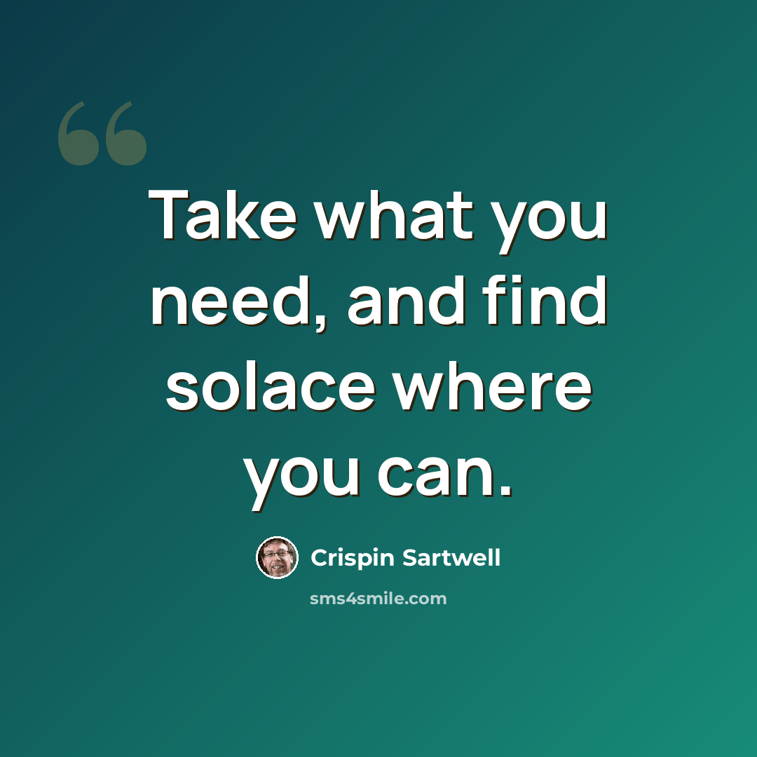 “Take what you need, and find solace where you can.” quote by Crispin Sartwell