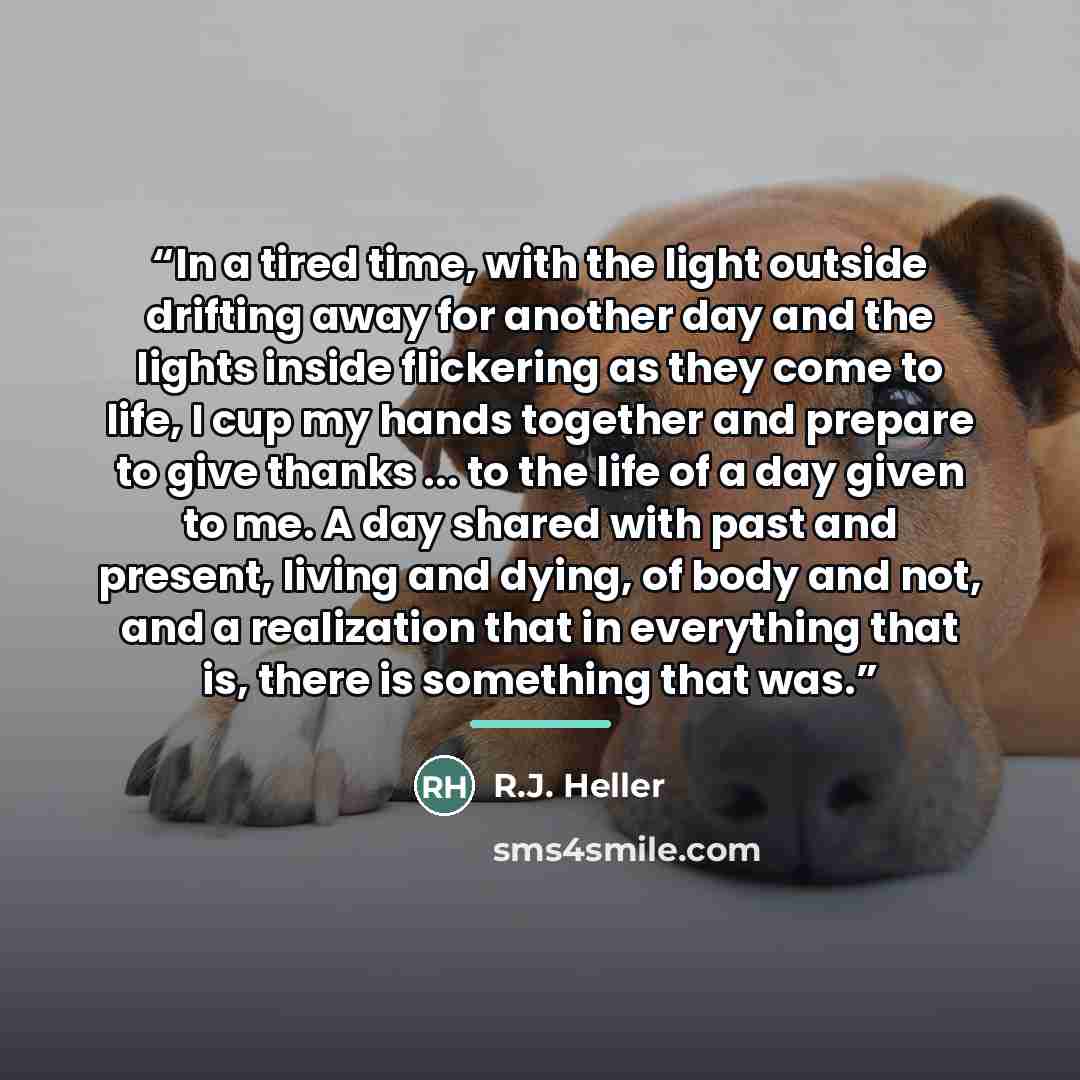 “In a tired time, with the light outside drifting away for another day and the lights inside flickering as they come to life, I cup my hands together and prepare to give thanks ... to the life of a day given to me. A day shared with past and present, living and dying, of body and not, and a…” quote by R.J. Heller