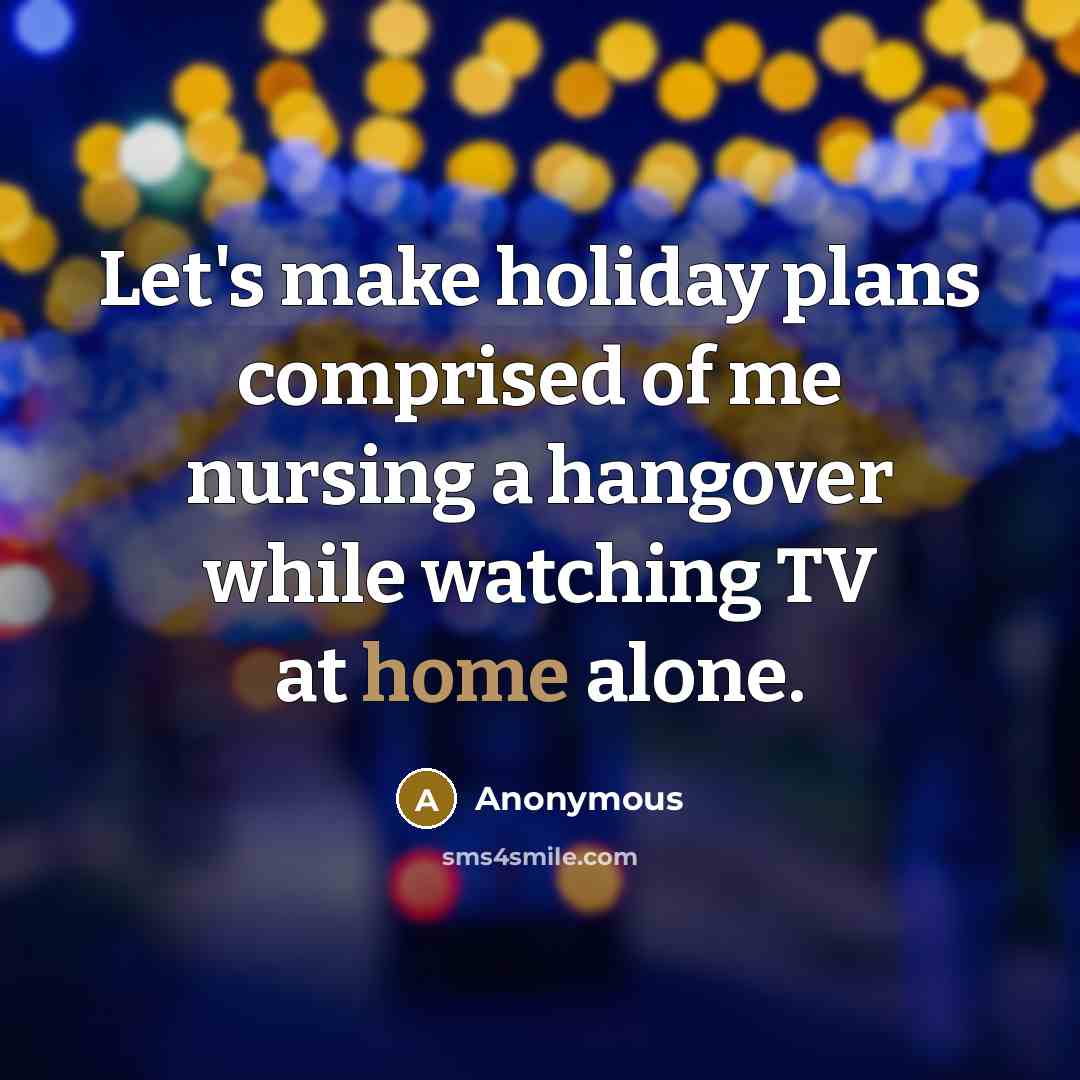“Let's make holiday plans comprised of me nursing a hangover while watching TV at home alone.” quote by Anonymous
