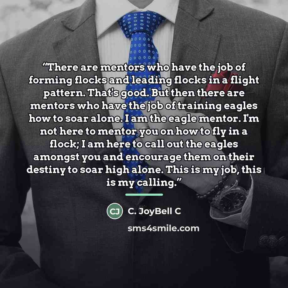 “There are mentors who have the job of forming flocks and leading flocks in a flight pattern. That's good. But then there are mentors who have the job of training eagles how to soar alone. I am the eagle mentor. I'm not here to mentor you on how to fly in a flock; I am here to call out the eagles…” quote by C. JoyBell C