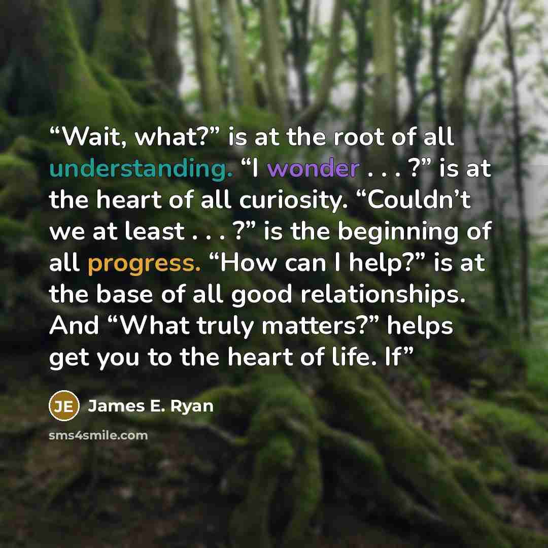 “Wait, what?” is at the root of all understanding. “I wonder . . . ?” is at the heart of all curiosity. “Couldn’t we at least . . . ?” is the beginning of all progress. “How can I help?” is at the base of all good relationships. And “What truly matters?” helps get you to the heart of life. If” quote by James E. Ryan