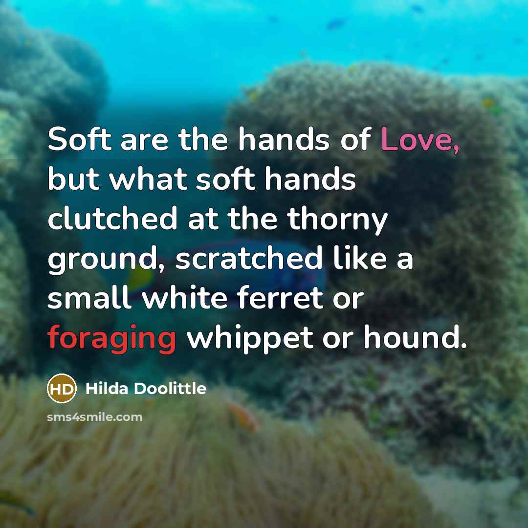 “Soft are the hands of Love, but what soft hands clutched at the thorny ground, scratched like a small white ferret or foraging whippet or hound.” quote by Hilda Doolittle