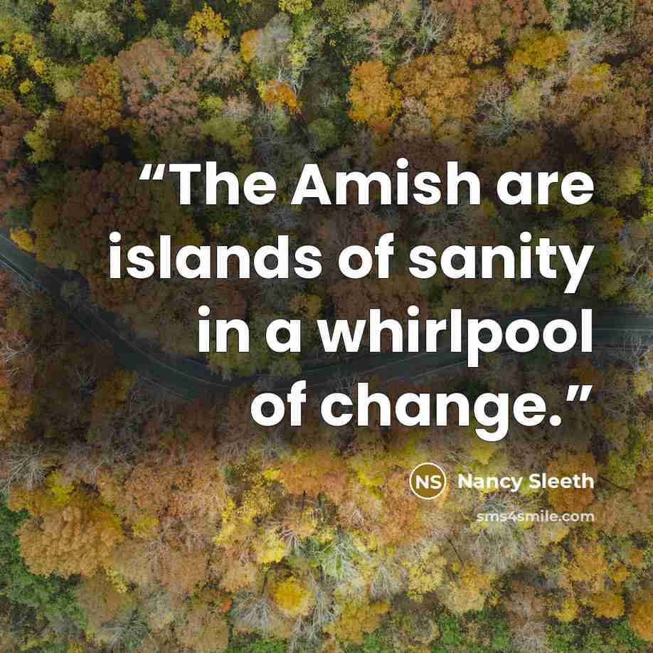 “The Amish are islands of sanity in a whirlpool of change.” quote by Nancy Sleeth