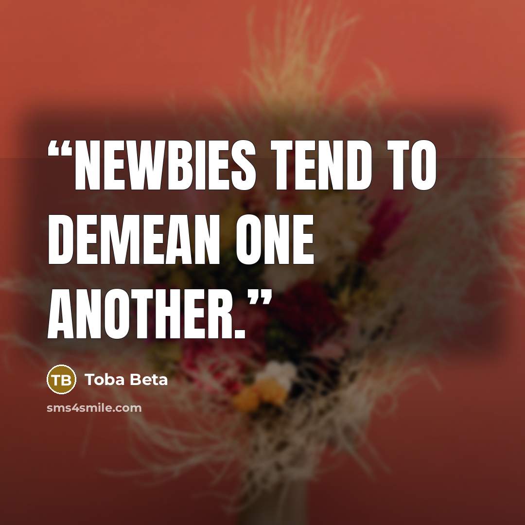 “Newbies tend to demean one another.” quote by Toba Beta