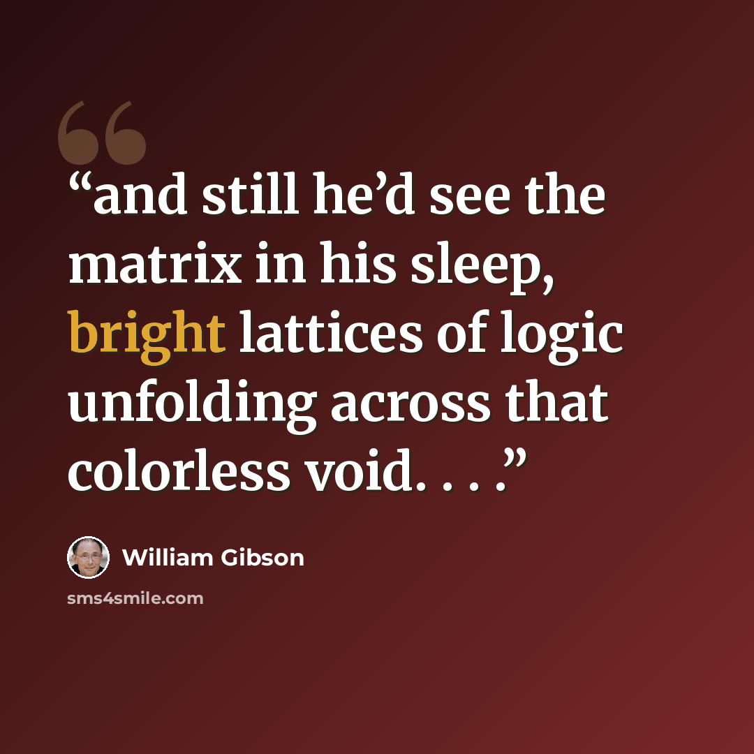 “and still he’d see the matrix in his sleep, bright lattices of logic unfolding across that colorless void. . . .” quote by William Gibson