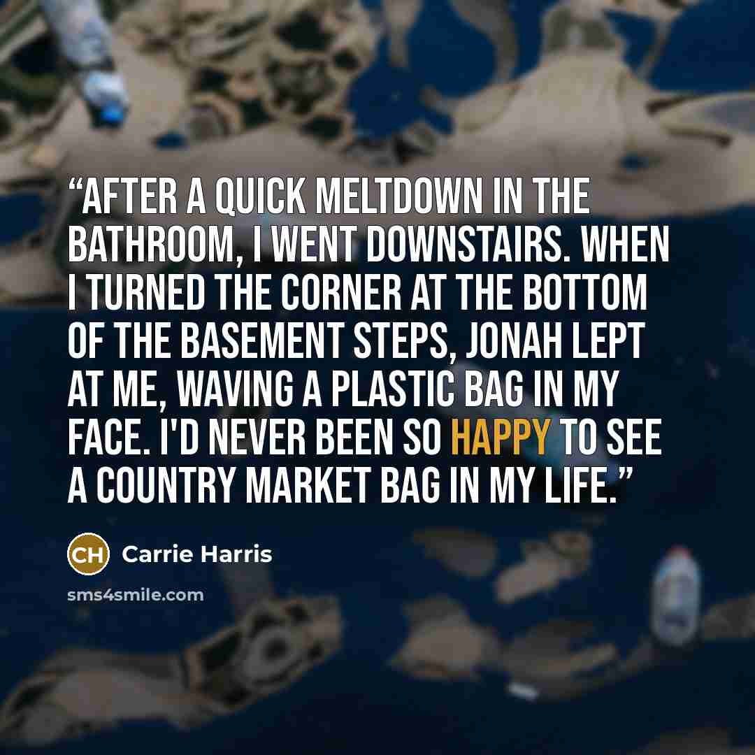“After a quick meltdown in the bathroom, I went downstairs. When I turned the corner at the bottom of the basement steps, Jonah lept at me, waving a plastic bag in my face. I'd never been so happy to see a Country Market bag in my life.” quote by Carrie Harris